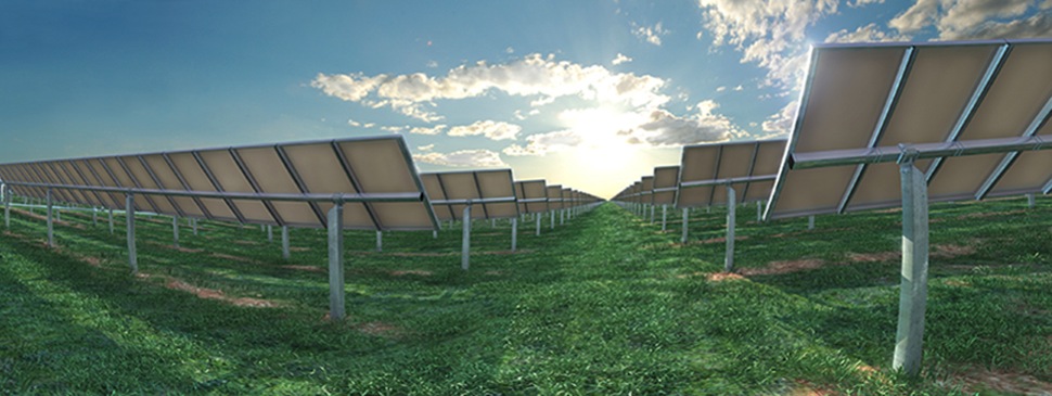 Moree Solar Farm