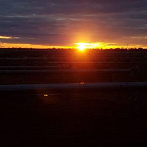 Sunrise over solar farm