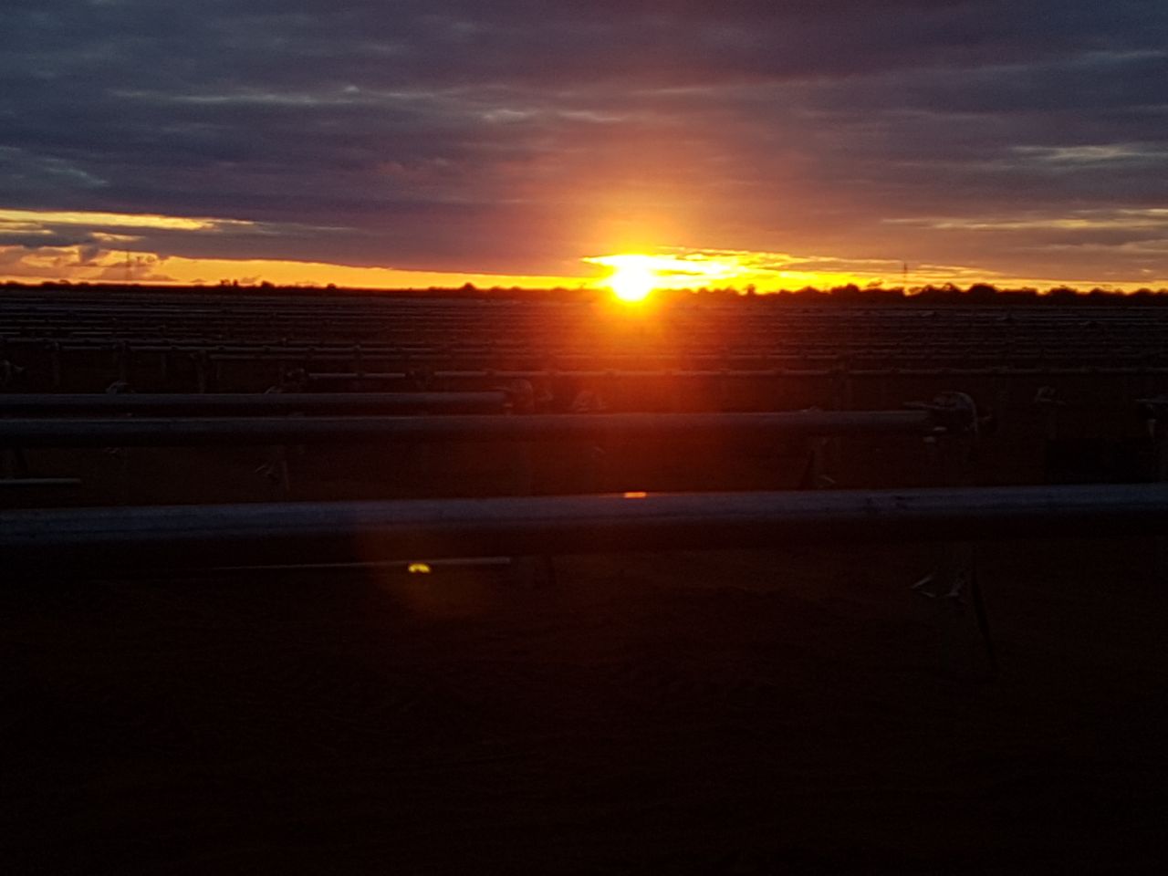 Sunrise over solar farm